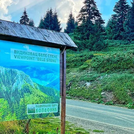 Falling Star Апартаменты Брзече