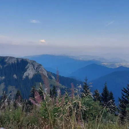 Falling Star Брзече