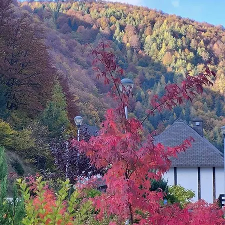 Апартаменты Falling Star