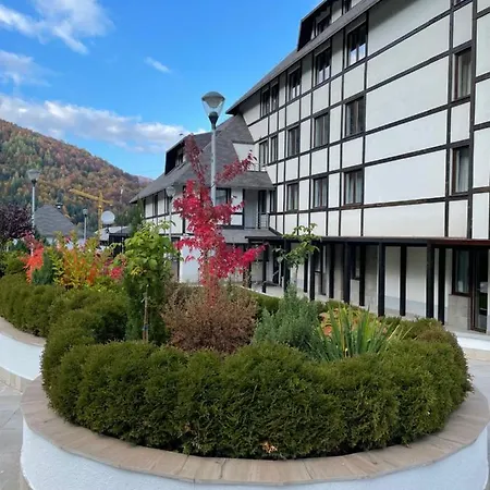 Apartment Falling Star