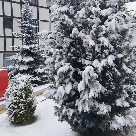 Falling Star Апартаменты