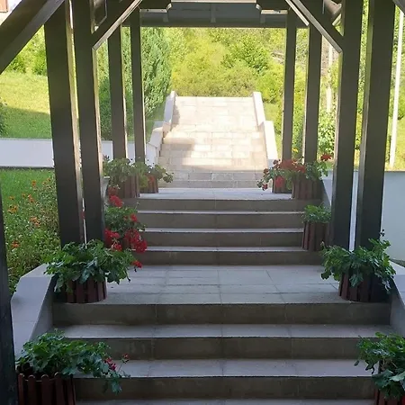 Falling Star * Брзече