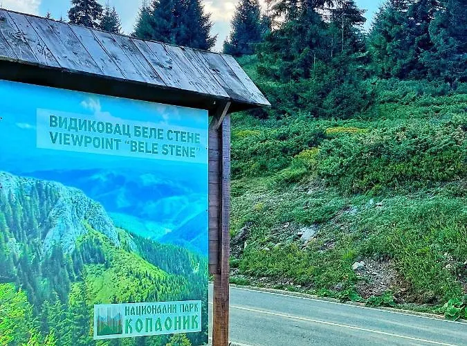 Falling Star Apartman Brzece