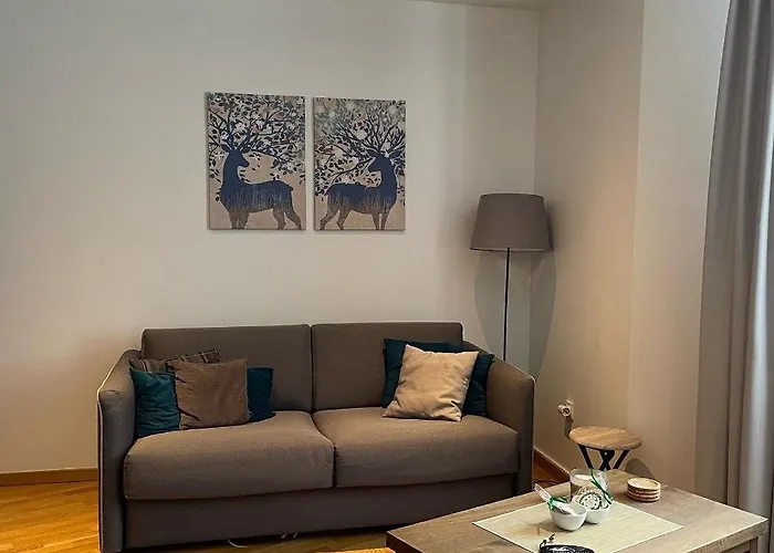 Apartman Falling Star Brzece