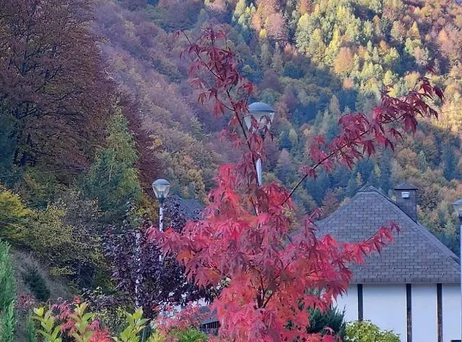 Apartman Falling Star