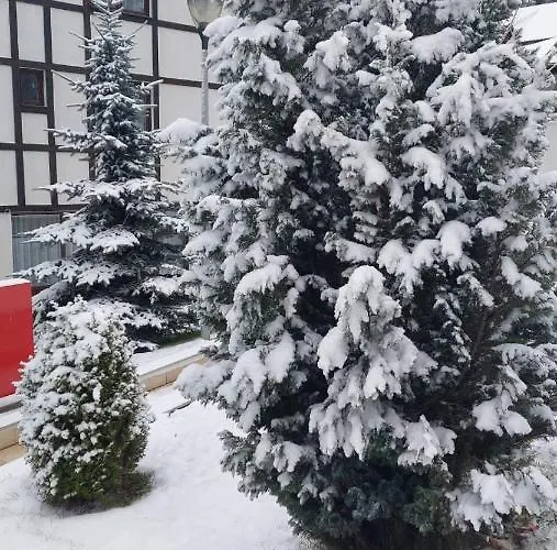 Falling Star Apartman