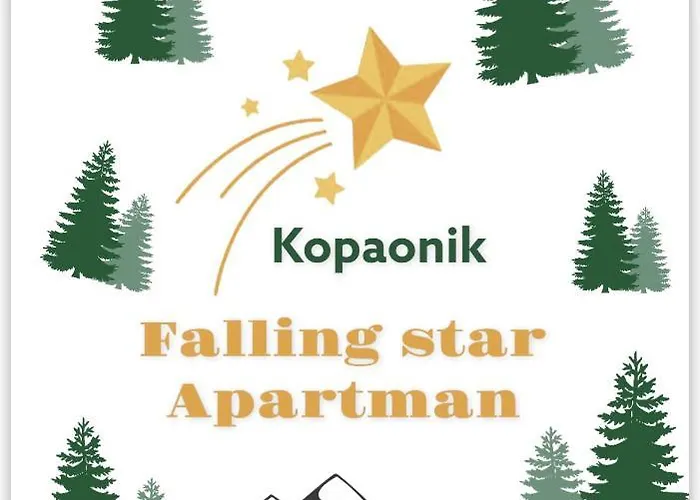Apartman Falling Star Brzece
