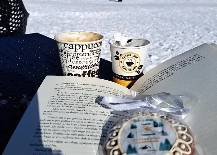 Apartman Falling Star Brzece