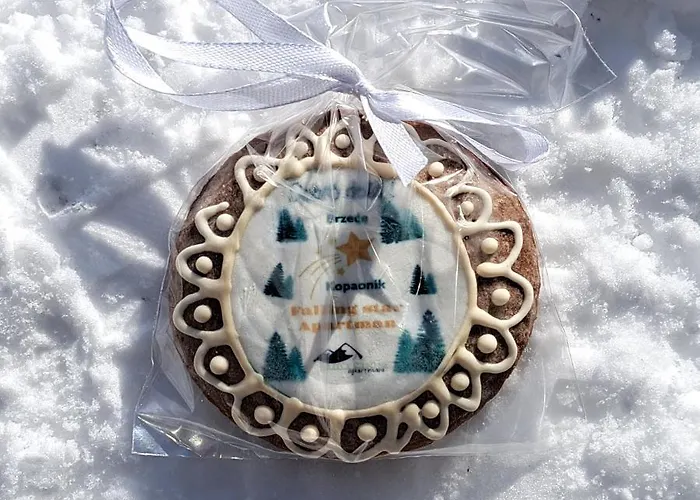 Falling Star Apartman Brzece