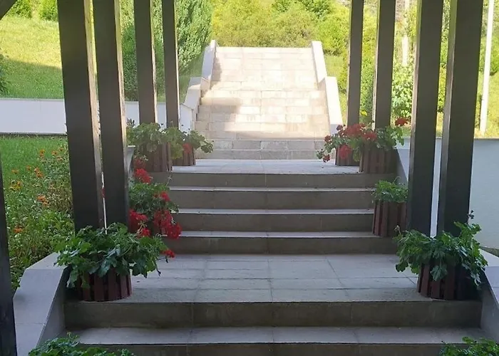 Falling Star * Brzece